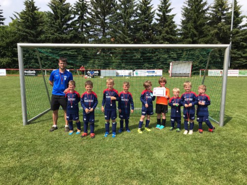 Bärenherzcup 2017 G-Jugend