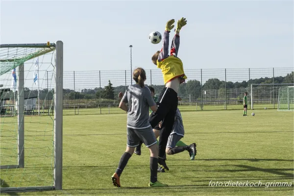Saisonfinale D-Jugend 2022