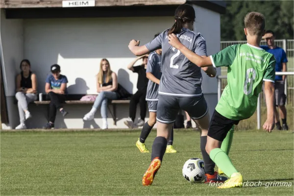 Saisonfinale D-Jugend 2022