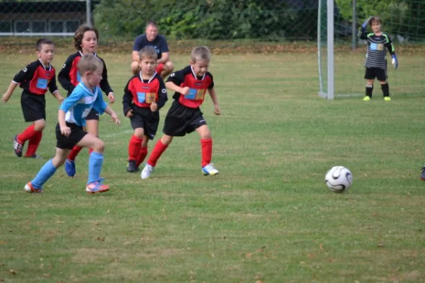 G-Jugend 2.Spiel Waldheim vs. Sermuth