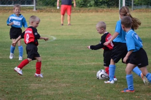 G-Jugend 2.Spiel Waldheim vs. Sermuth