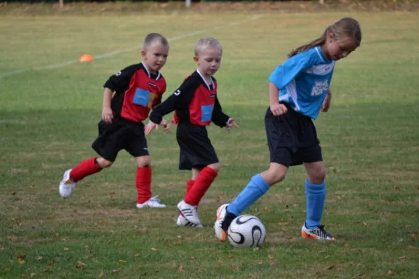 G-Jugend 2.Spiel Waldheim vs. Sermuth