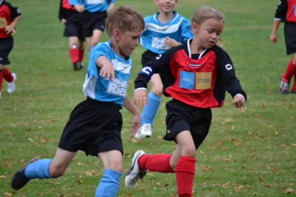 G-Jugend 2.Spiel Waldheim vs. Sermuth