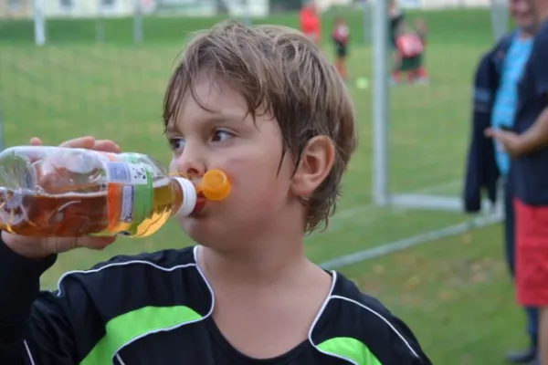 G-Jugend 2.Spiel Waldheim vs. Sermuth