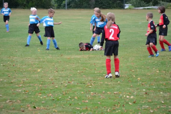 G-Jugend 2.Spiel Waldheim vs. Sermuth