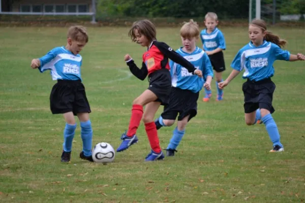 G-Jugend 2.Spiel Waldheim vs. Sermuth