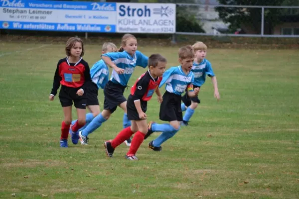 G-Jugend 2.Spiel Waldheim vs. Sermuth