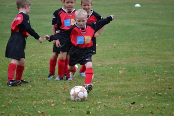 G-Jugend 2.Spiel Waldheim vs. Sermuth