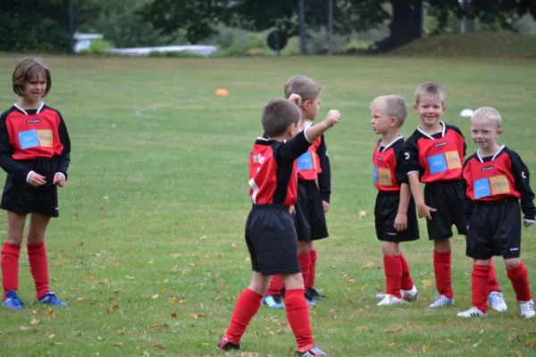 G-Jugend 2.Spiel Waldheim vs. Sermuth