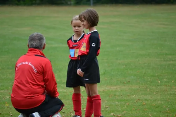 G-Jugend 2.Spiel Waldheim vs. Sermuth