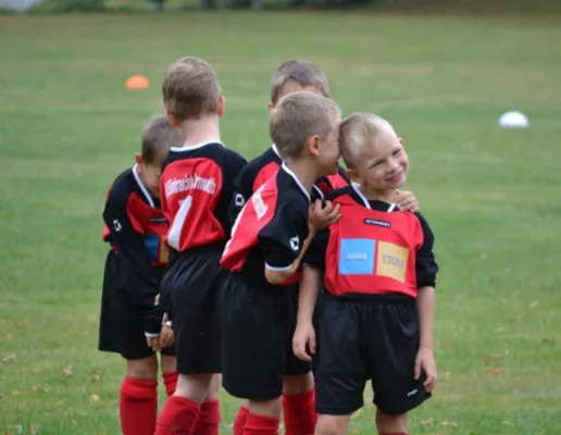 G-Jugend 2.Spiel Waldheim vs. Sermuth