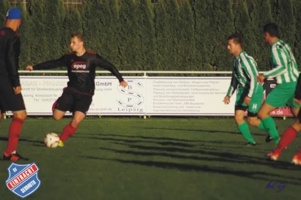 11.Spieltag SV Eintracht Sermuth vs. Waldheim