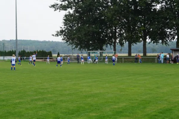 Pokalspiel D-Junioren SG Sermuth vs. Waldheim