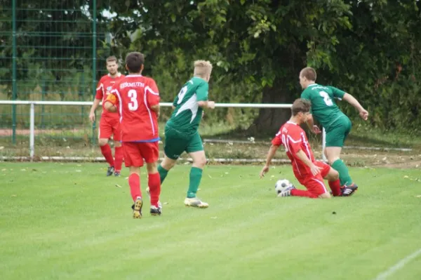 SV Eintracht Sermuth vs. FSV Grün Weiß Großbothen