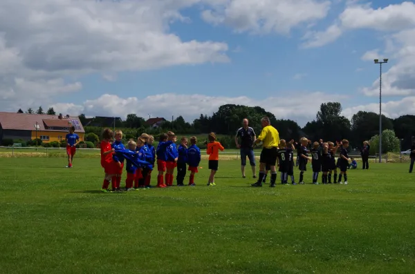 G-Jugend gegen Medizin Zschadraß 17.06.2017