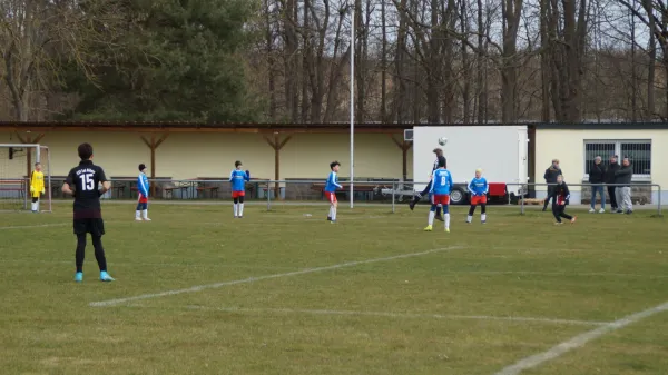 03.04.2022 ESV Lok Döbeln vs. SG Sermuth