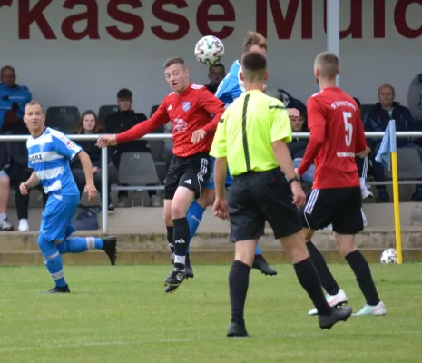 18.05.2025 SV Eintracht Sermuth vs. SV Medizin Zschadraß