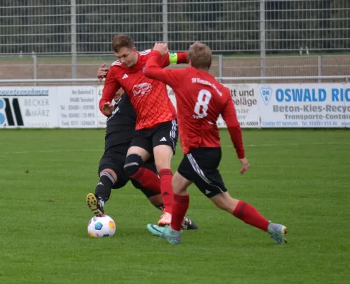 12.10.2025 SV Eintracht Sermuth vs. VfB Leisnig