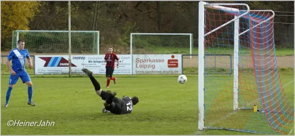 07.11.2015 SG Gnandstein 49 vs. SV Eintracht Sermuth