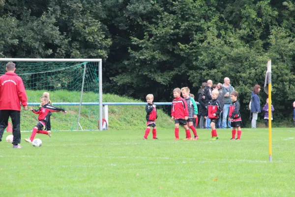 20.09.2015 FC Bad Lausick vs. SG Sermuth