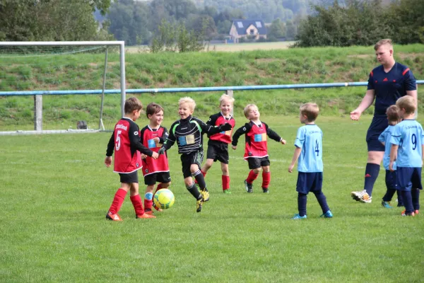 20.09.2015 FC Bad Lausick vs. SG Sermuth