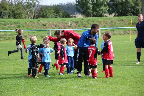 20.09.2015 FC Bad Lausick vs. SG Sermuth