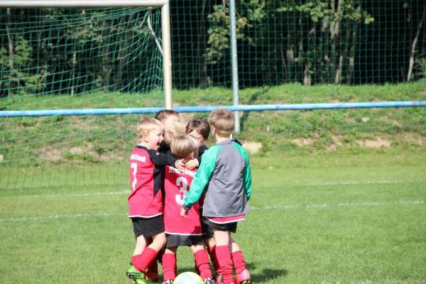 20.09.2015 FC Bad Lausick vs. SG Sermuth