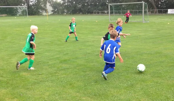 29.08.2015 SG Großbothen vs. TSV Großsteinberg