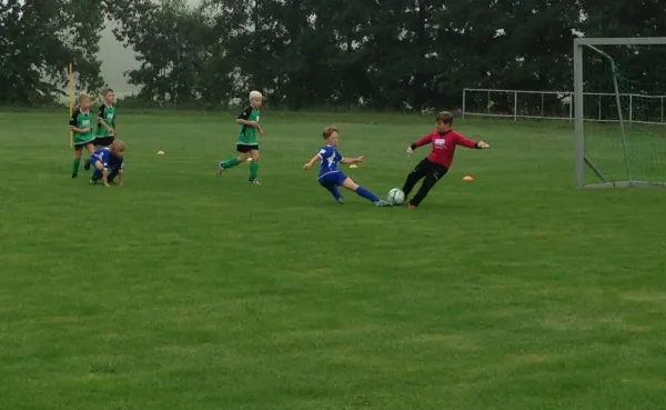 29.08.2015 SG Großbothen vs. TSV Großsteinberg