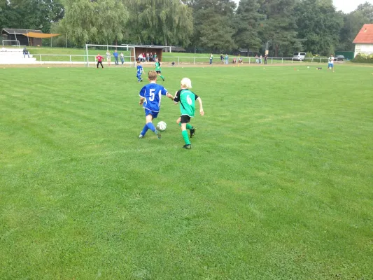 29.08.2015 SG Großbothen vs. TSV Großsteinberg