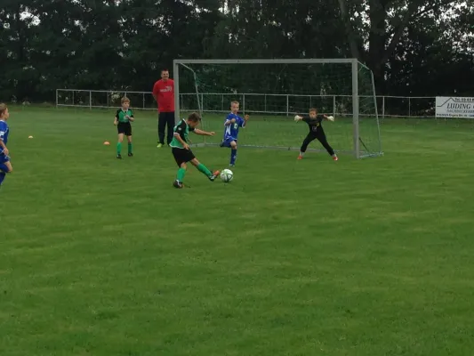 29.08.2015 SG Großbothen vs. TSV Großsteinberg