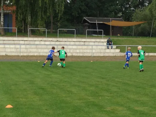 29.08.2015 SG Großbothen vs. TSV Großsteinberg