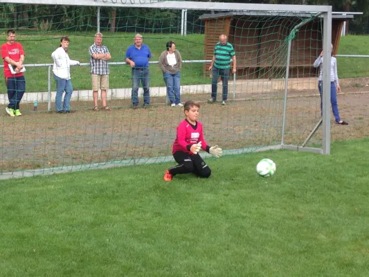 29.08.2015 SG Großbothen vs. TSV Großsteinberg