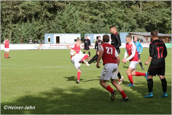 09.10.2016 FC Elbaue Torgau vs. SV Eintracht Sermuth
