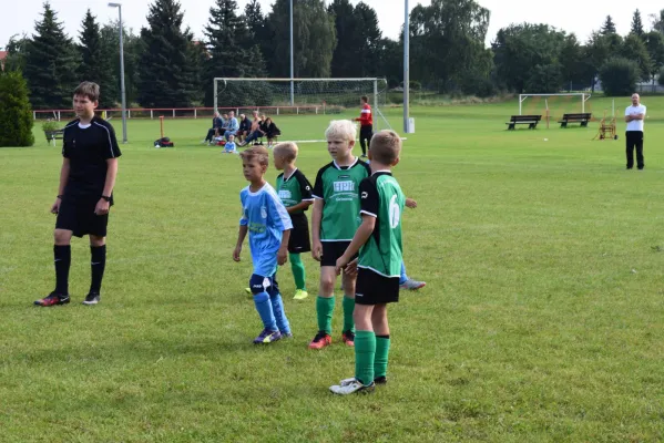 14.08.2016 SV 1863 Belgershain II vs. SG SermuthGroßbothen