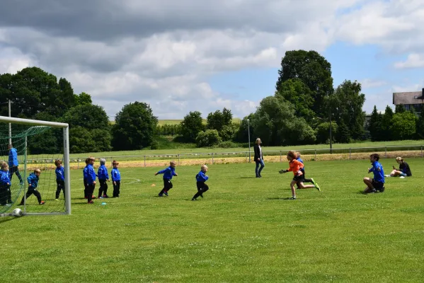 17.06.2017 SG Sermuth II vs. SV Medizin Zschadraß