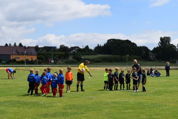 17.06.2017 SG Sermuth II vs. SV Medizin Zschadraß
