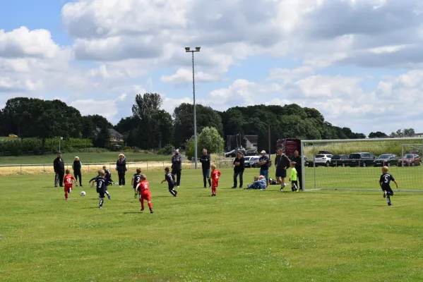 17.06.2017 SG Sermuth II vs. SV Medizin Zschadraß