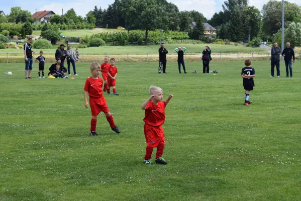 17.06.2017 SG Sermuth II vs. SV Medizin Zschadraß