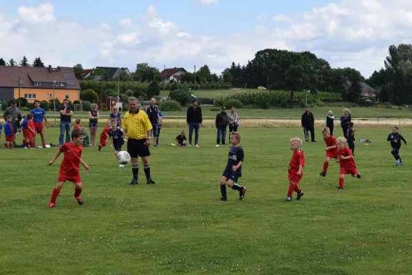 17.06.2017 SG Sermuth II vs. SV Medizin Zschadraß