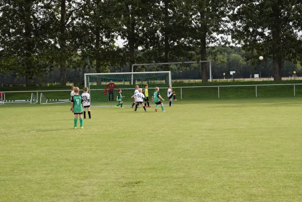 19.08.2017 SG Sermuth Großb. vs. SV Klinga Ammelshain III