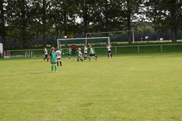 19.08.2017 SG Sermuth Großb. vs. SV Klinga Ammelshain III
