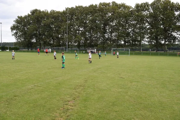 19.08.2017 SG Sermuth Großb. vs. SV Klinga Ammelshain III