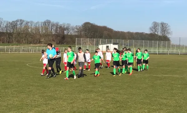 23.03.2019 SG Großbothen vs. HFC Colditz