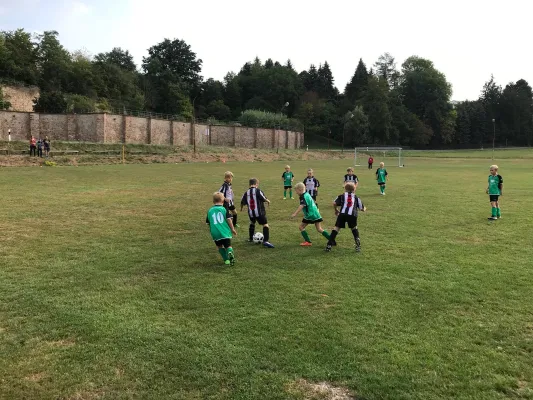 25.08.2018 SG Gnandstein 49 vs. SG Sermuth Großb.