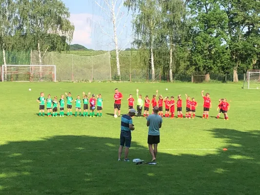 03.06.2019 VfB Leisnig vs. SG Sermuth Großb.