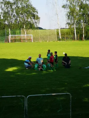 03.06.2019 VfB Leisnig vs. SG Sermuth Großb.