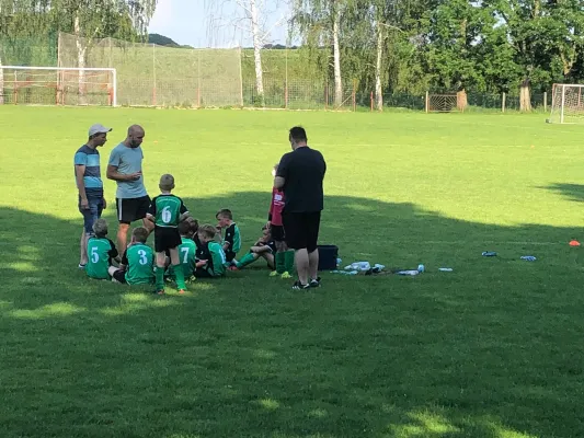 03.06.2019 VfB Leisnig vs. SG Sermuth Großb.