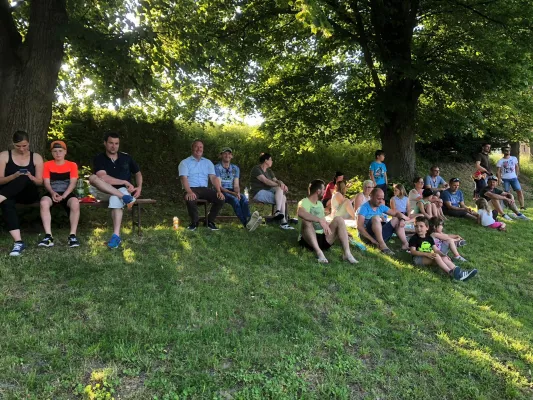 03.06.2019 VfB Leisnig vs. SG Sermuth Großb.