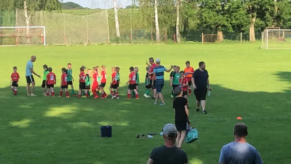 03.06.2019 VfB Leisnig vs. SG Sermuth Großb.